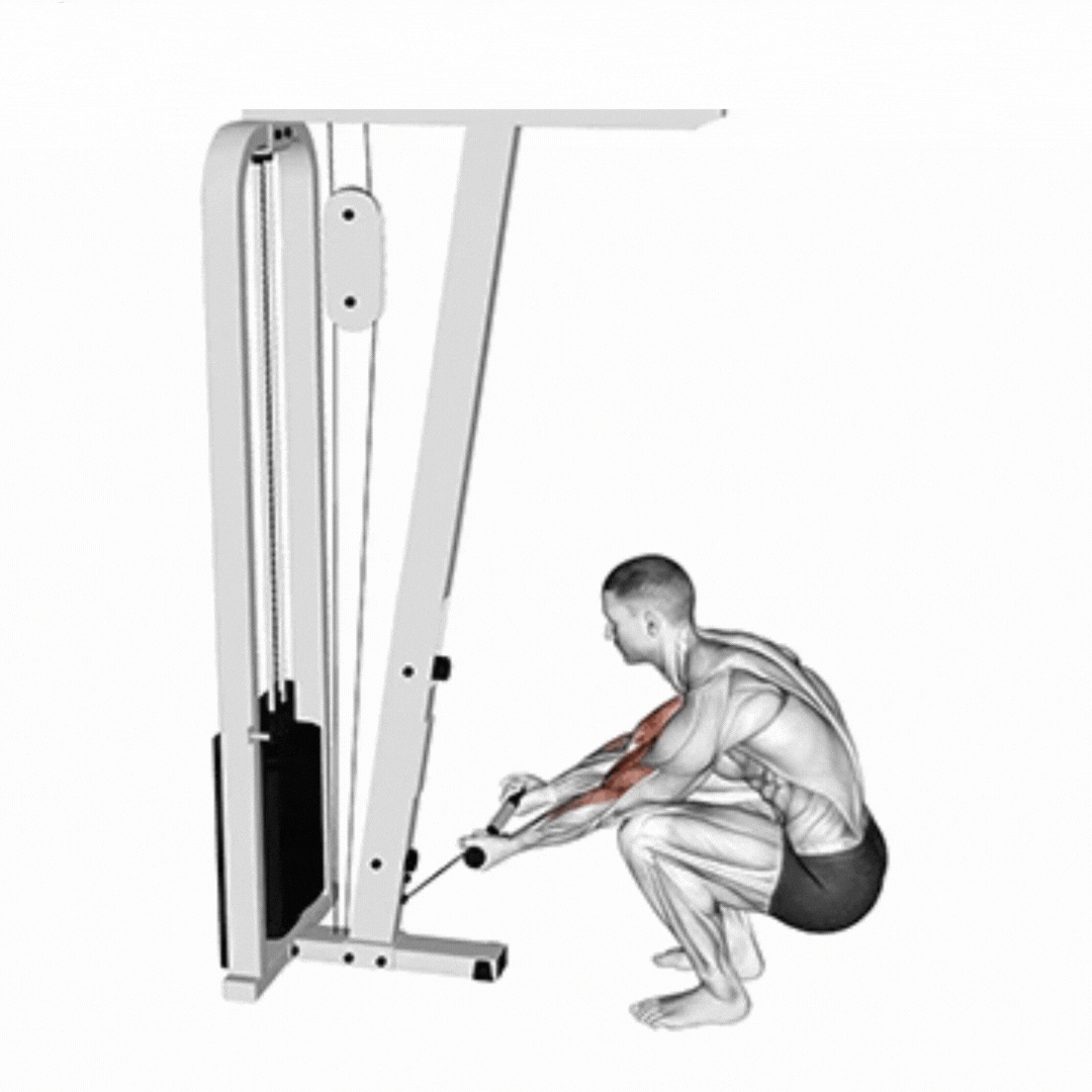 Rosca Bíceps com Cabo Ajoelhado - demonstração