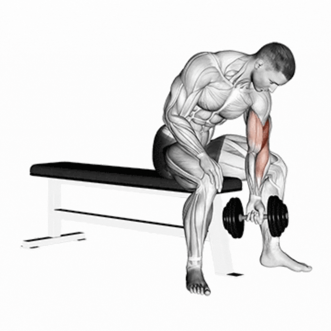 Rosca 21 - demonstração