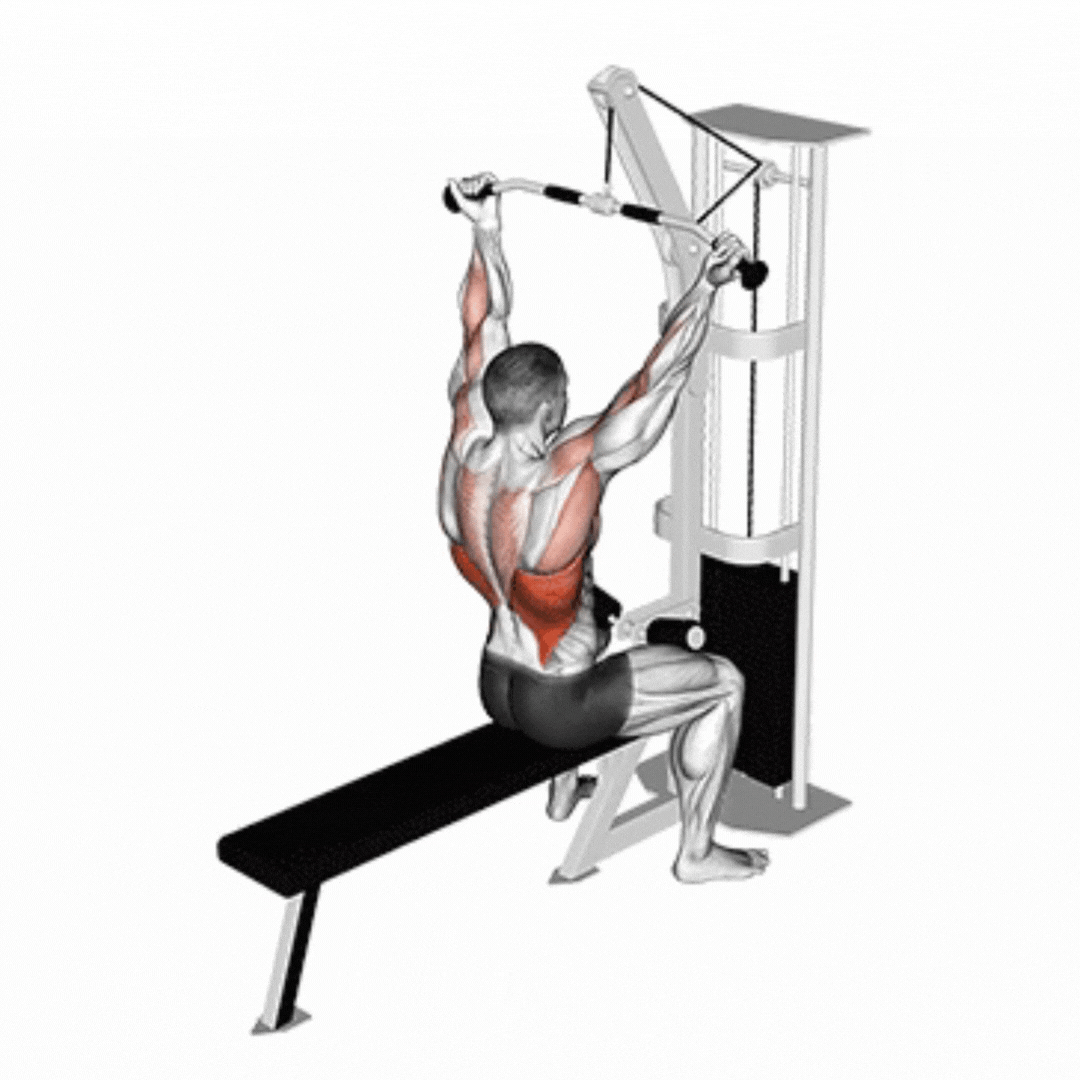 Puxada Supinada - demonstração