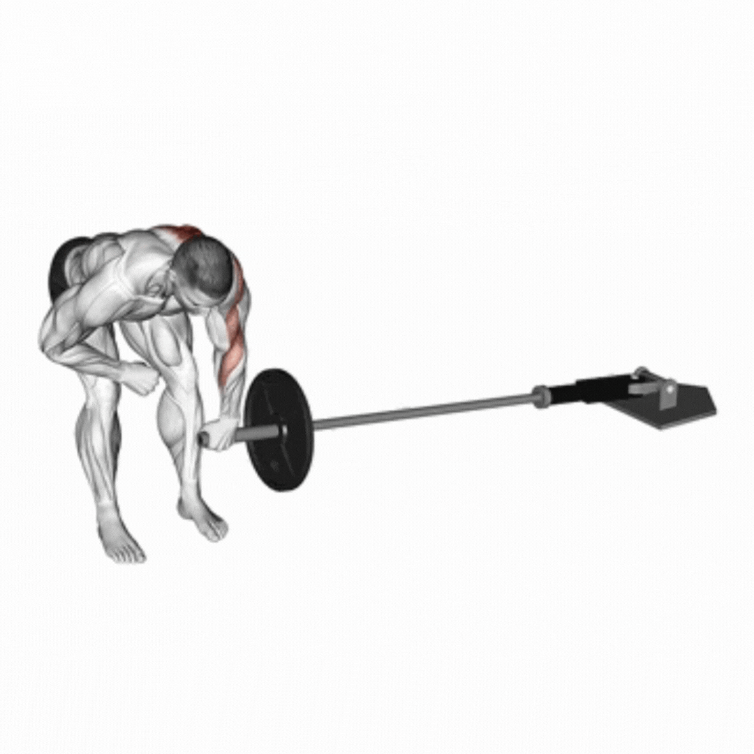 Remada Unilateral - demonstração