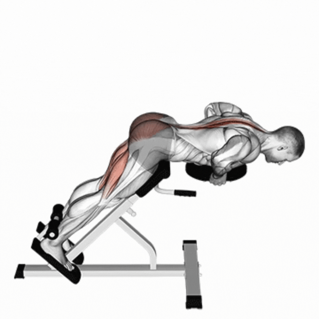 Extensão Lombar com Peso - demonstração