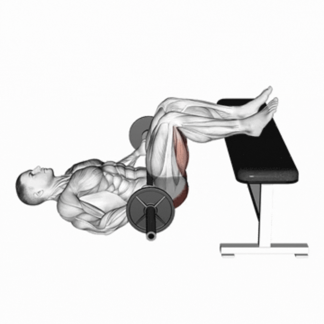 Elevação Pélvica com Barra Declinado - demonstração