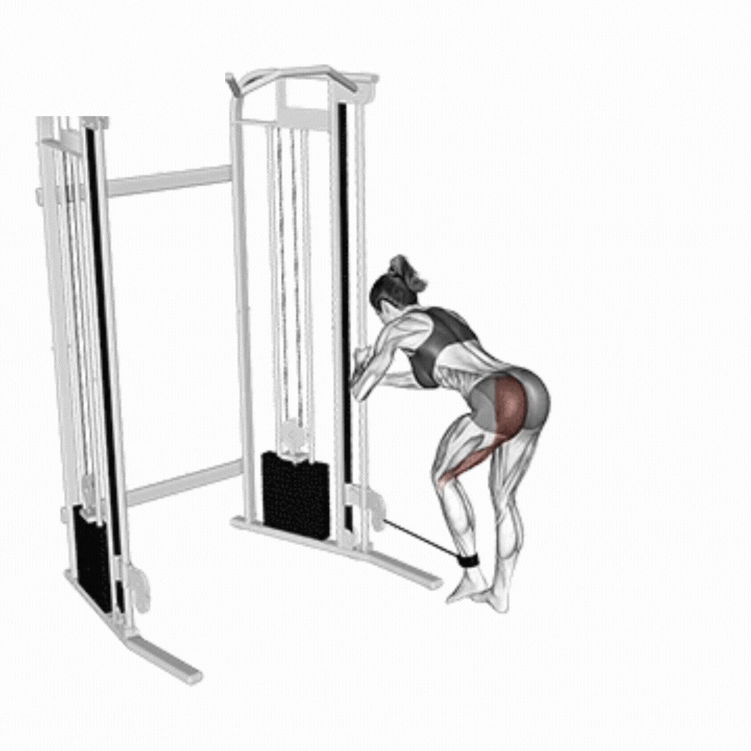 Glúteos Coice Unilateral Polia Baixa - demonstração