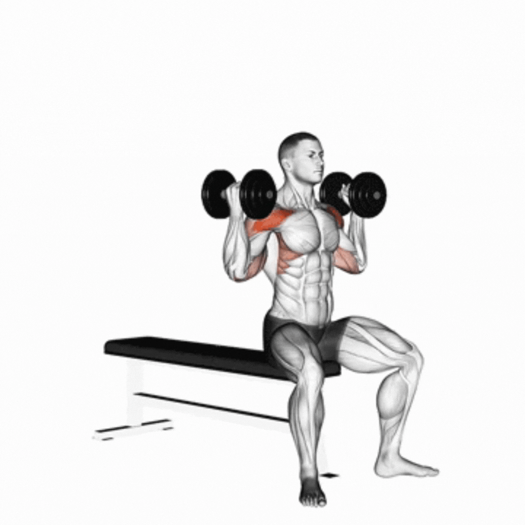 Desenvolvimento Arnold (Metade) - demonstração