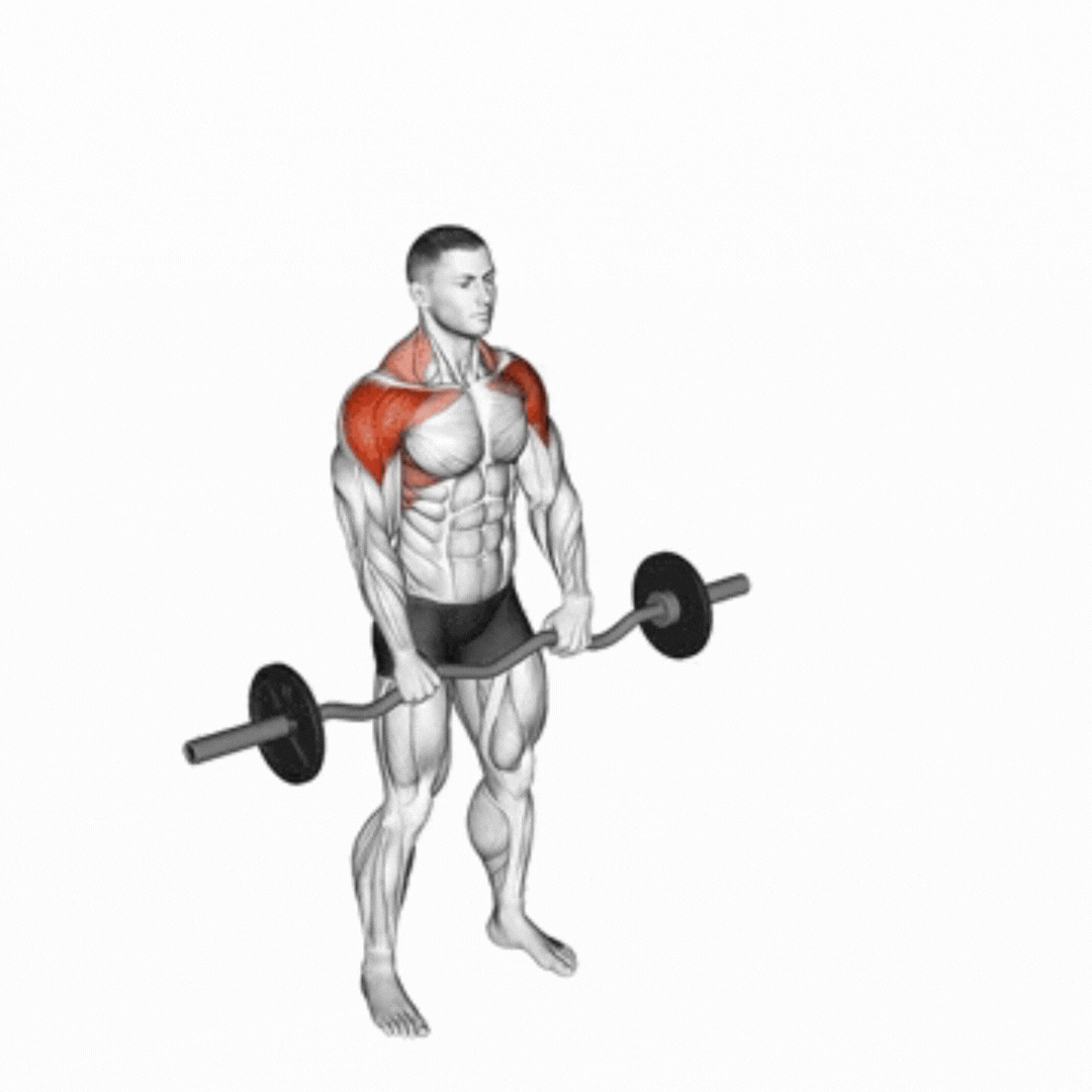 Elevação Frontal com Barra Girando - demonstração