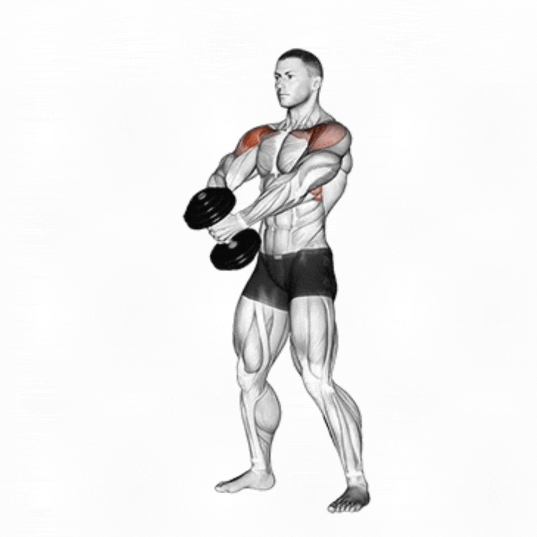 Elevação Frontal - demonstração