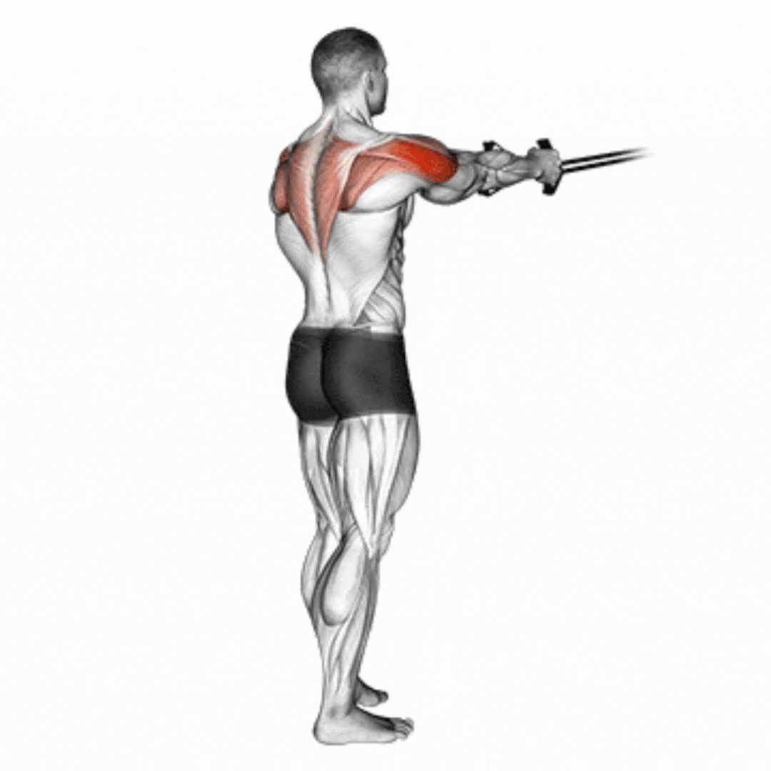 Voador para Deltoides Posterior com Cabo - demonstração