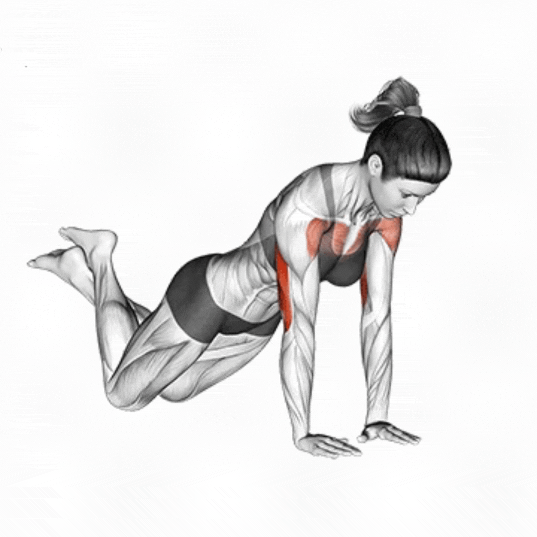 Flexão de Braços com Apoio dos Joelhos Fechada - demonstração