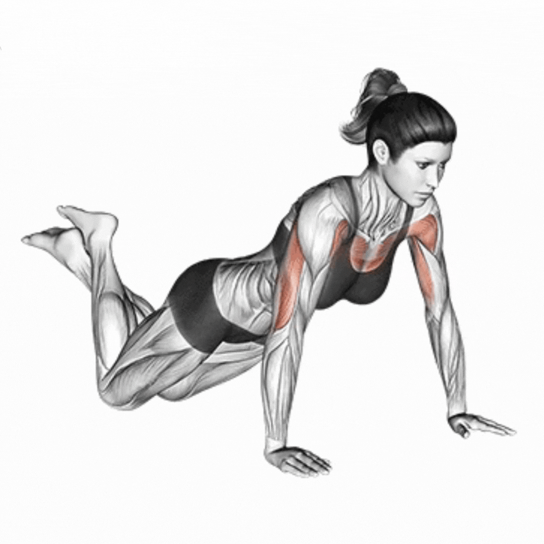 Flexão de Joelhos - demonstração