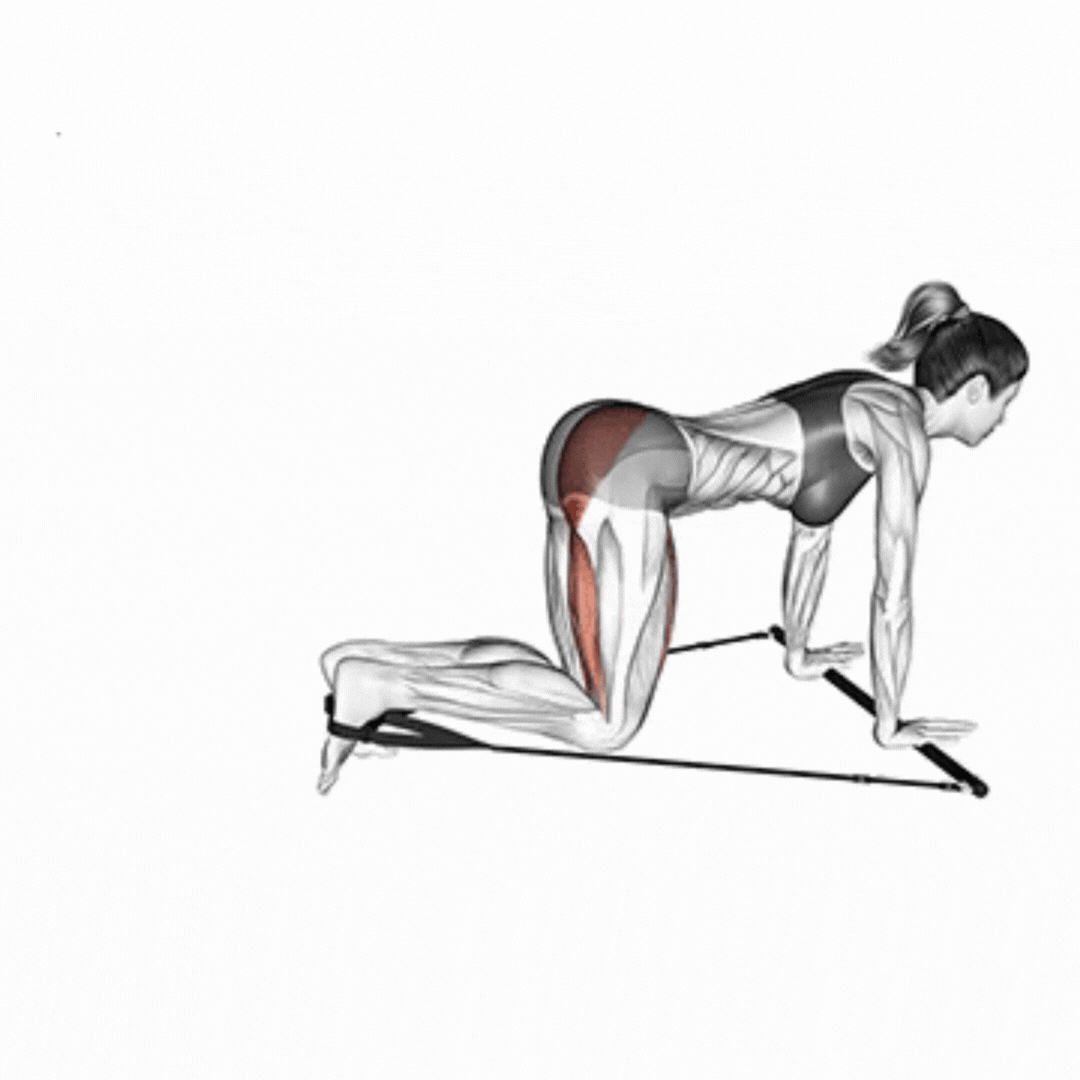 Glúteo Coice com Gymstick - demonstração