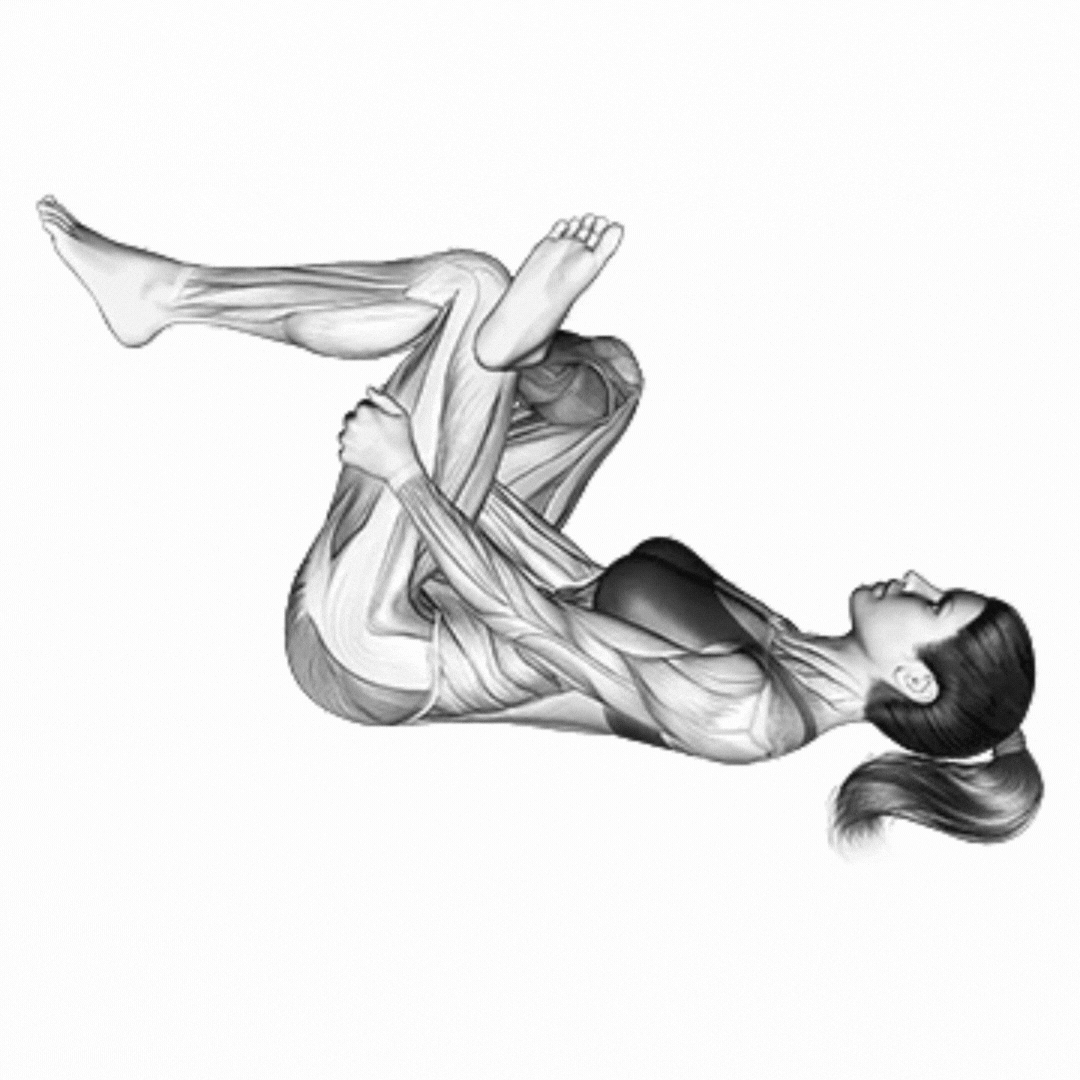 Alongamento de Glúteos Deitado - demonstração