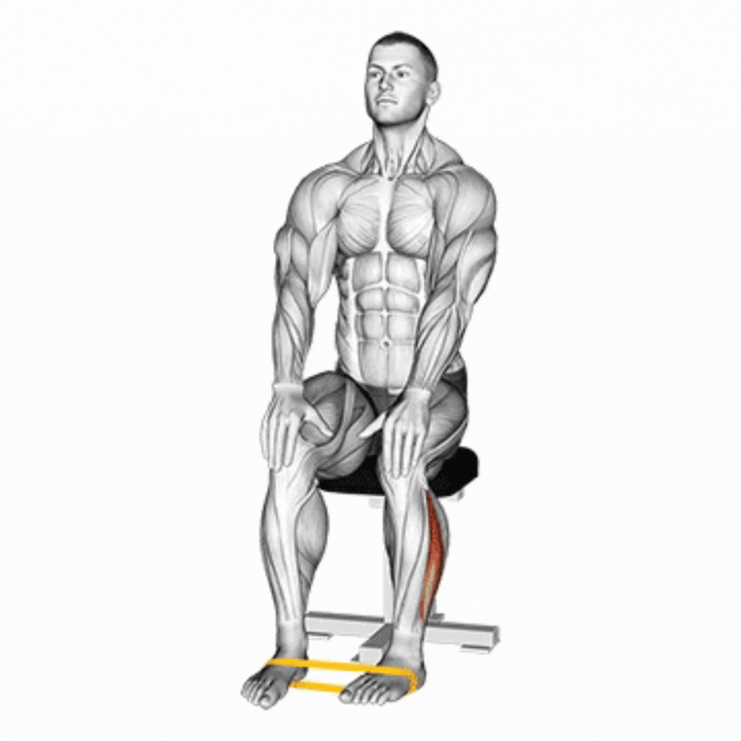 Rotação Externa do Pé com Faixa Elástica - demonstração