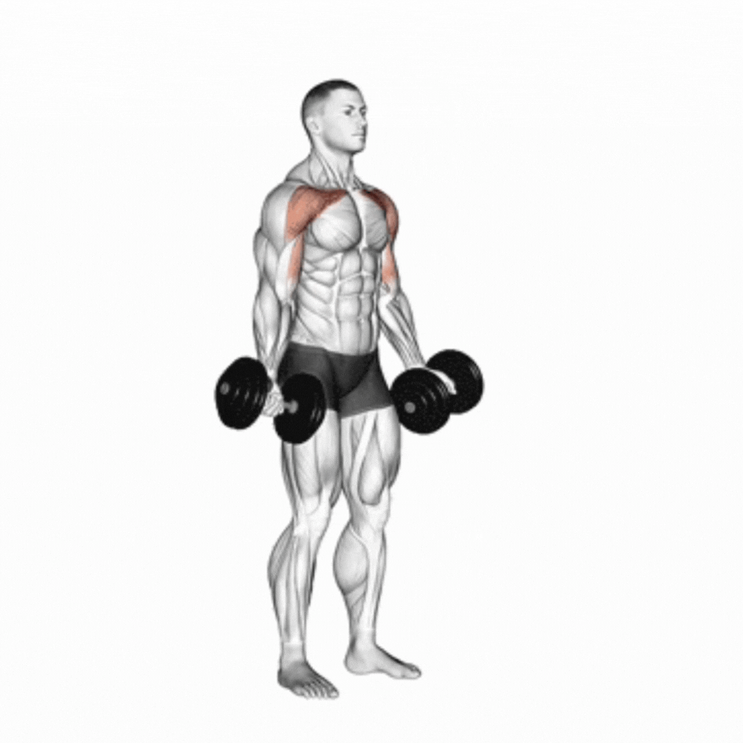 Voador com Halteres para Cima - demonstração