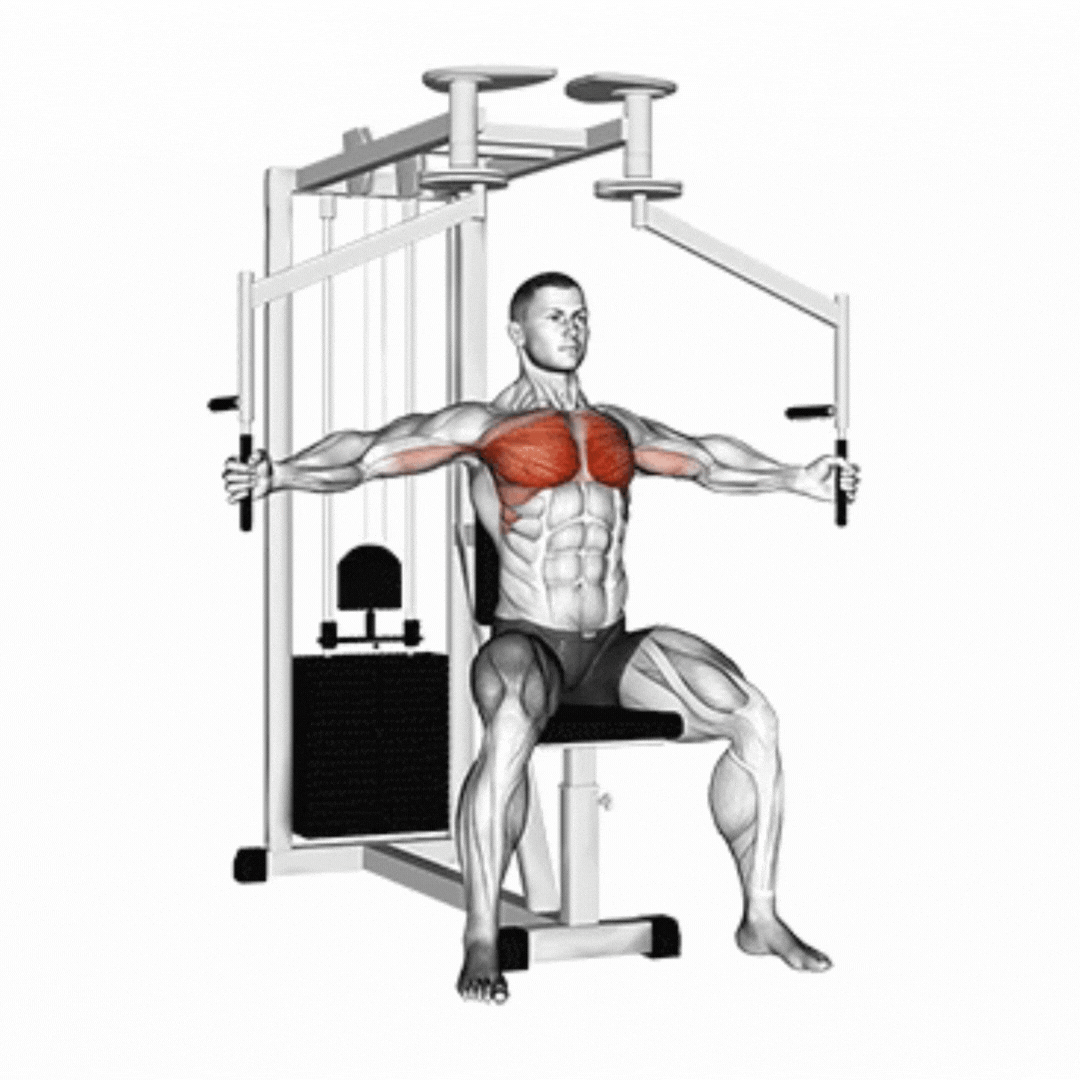 Voador no Pec Deck - demonstração