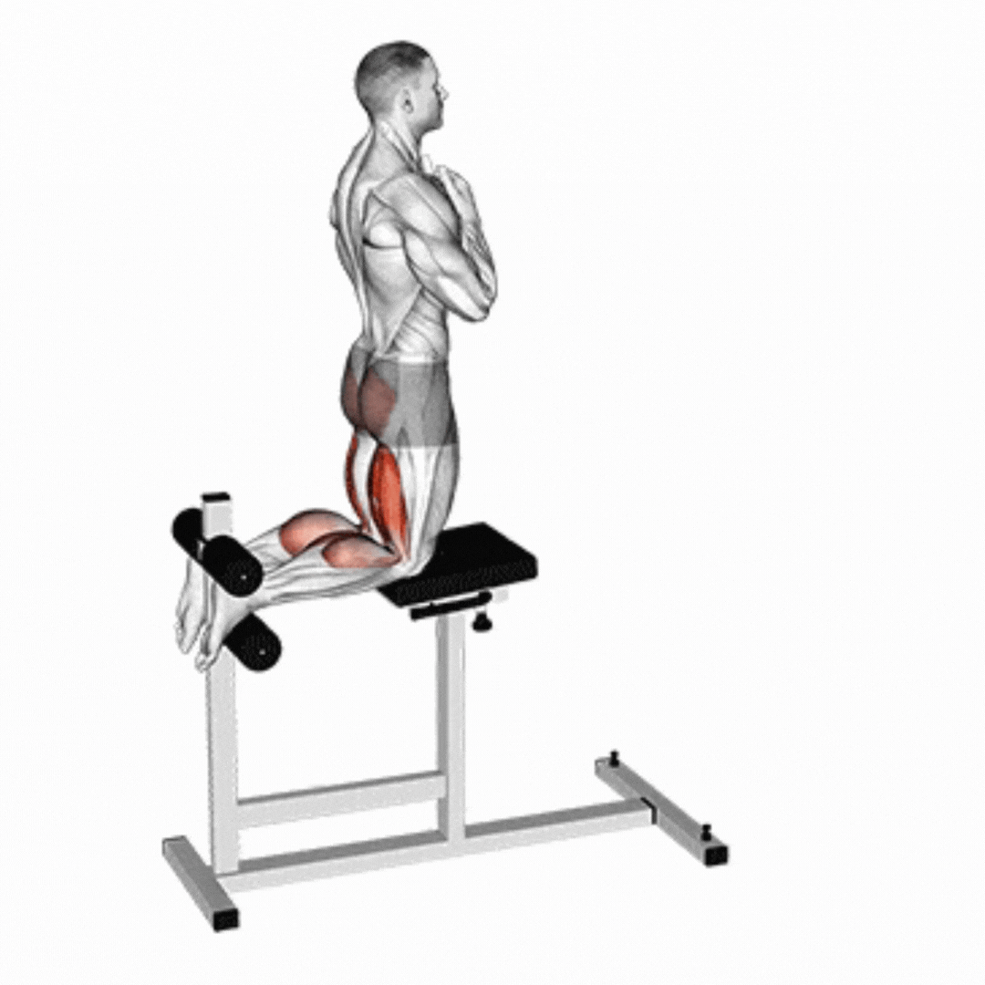 Flexão Nórdica (2) - demonstração